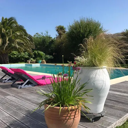 Belle Bord De Avec Piscine Villa