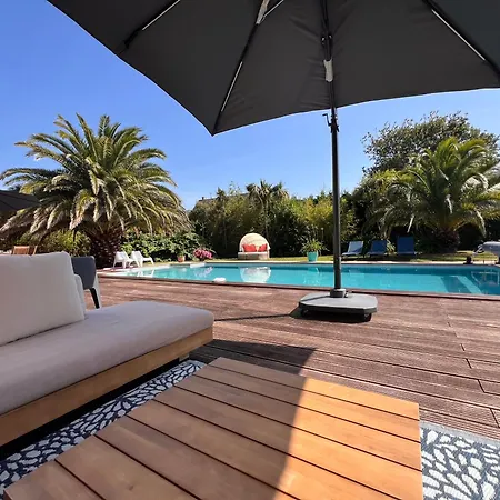 Belle Bord De Avec Piscine *